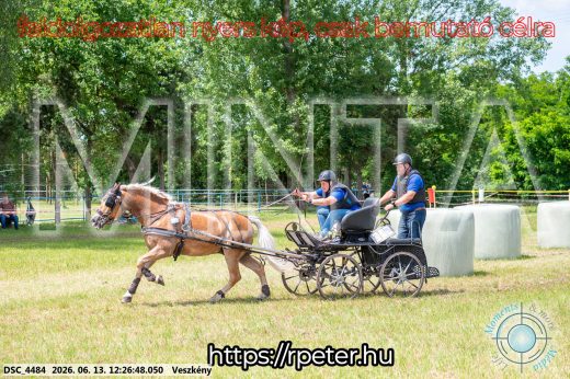 Mintakép 20260613-1489
