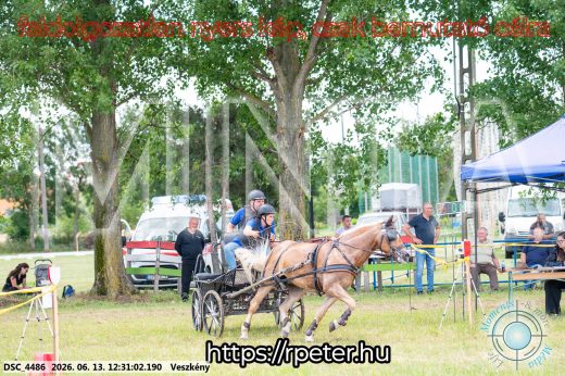 Mintakép 20260613-1490