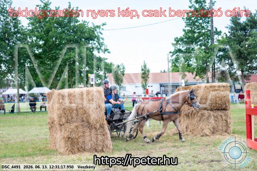 Mintakép 20260613-1491