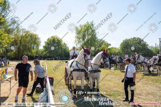Mintakép 20260815-124