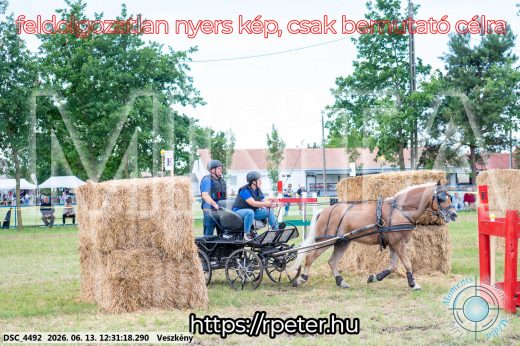 Mintakép 20260613-1492