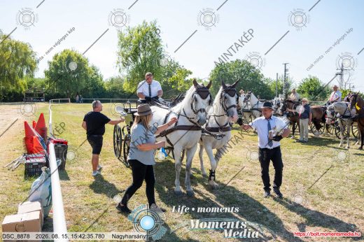 Mintakép 20260815-140