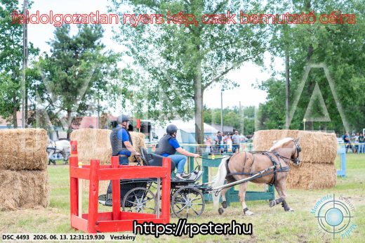 Mintakép 20260613-1493