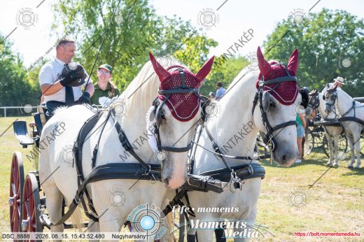 Mintakép 20260815-150