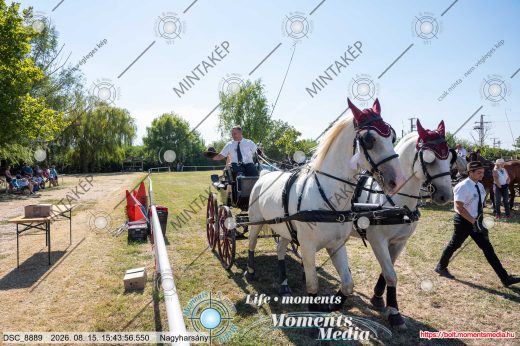Mintakép 20260815-151