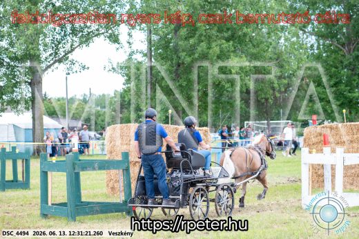 Mintakép 20260613-1494