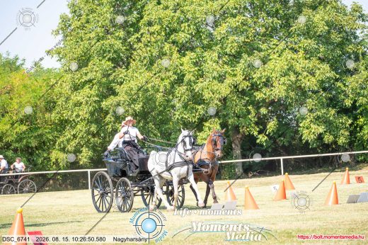 20260815-102650-DSC_6741.jpg