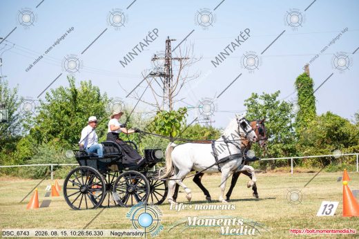 Mintakép 20260815-157