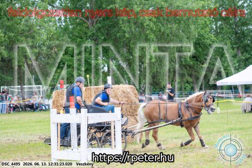 Mintakép 20260613-1495