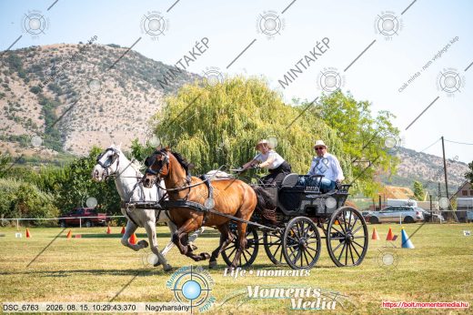 Mintakép 20260815-166