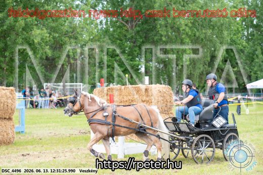 Mintakép 20260613-1496