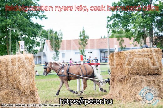 Mintakép 20260613-1497