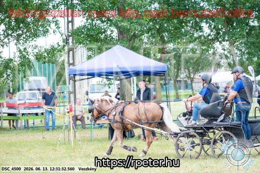 Mintakép 20260613-1498