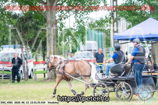 Mintakép 20260613-1499