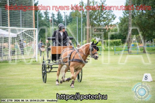 Mintakép 20260614-707