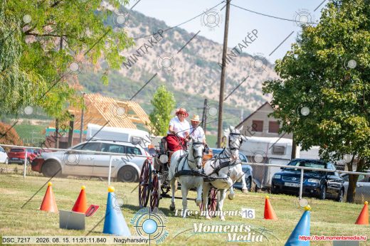 Mintakép 20260815-223