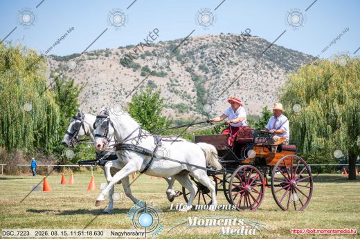 Mintakép 20260815-229