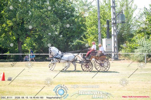 Mintakép 20260815-236