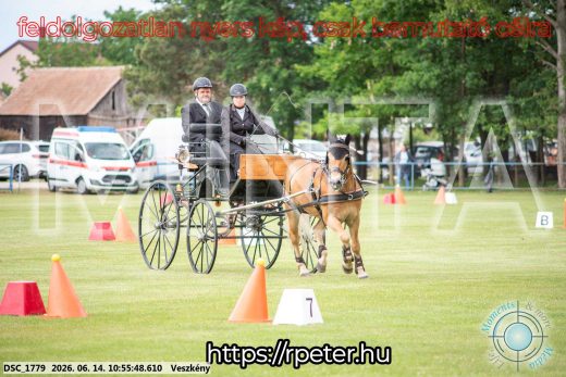 Mintakép 20260614-712