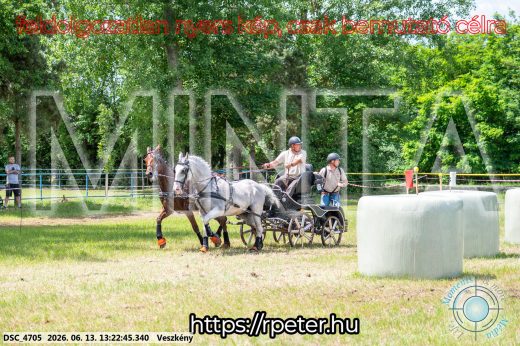 Mintakép 20260613-116