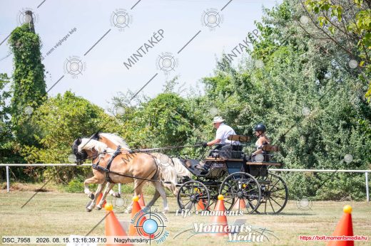Mintakép 20260815-293