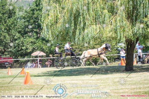 Mintakép 20260815-300