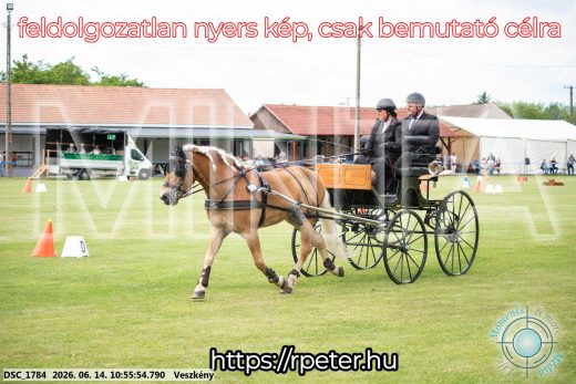 Mintakép 20260614-715