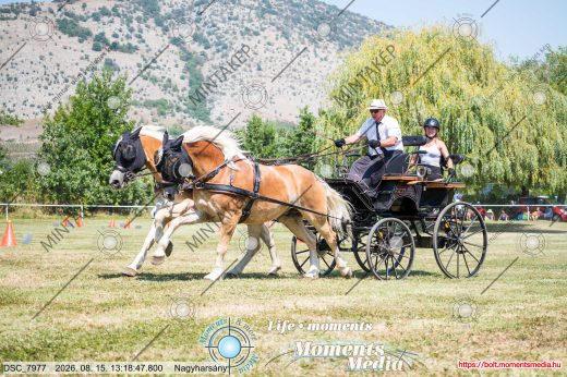 Mintakép 20260815-303
