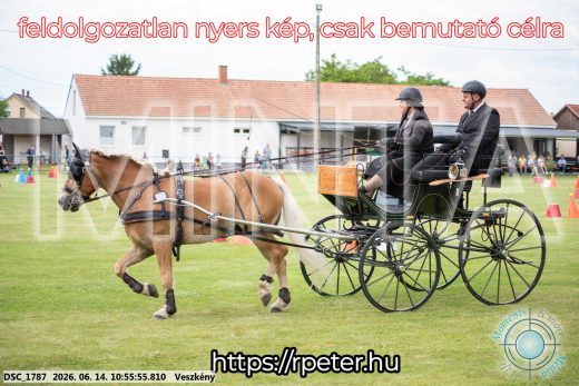 Mintakép 20260614-716