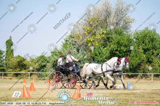 20260815-105823-DSC_6939.jpg