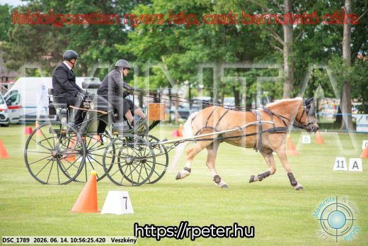 Mintakép 20260614-717