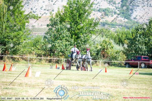 Mintakép 20260815-324