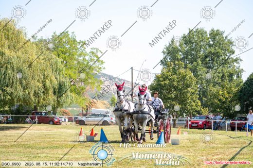 Mintakép 20260815-334