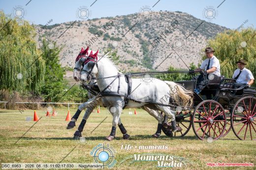Mintakép 20260815-336