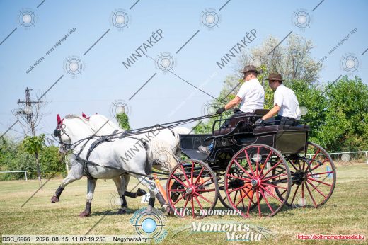 Mintakép 20260815-338