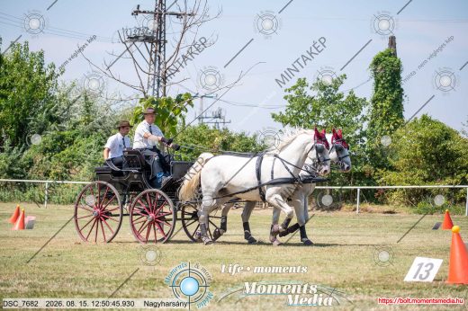 Mintakép 20260815-339