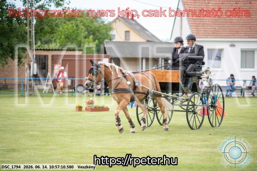 Mintakép 20260614-719