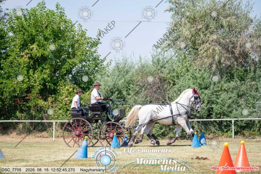 Mintakép 20260815-352
