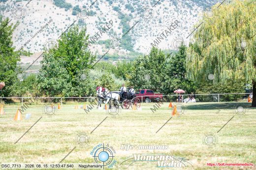 Mintakép 20260815-357