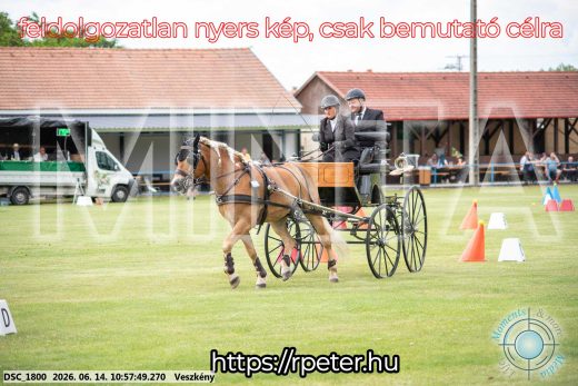 Mintakép 20260614-721