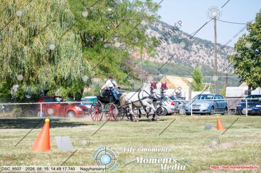 Mintakép 20260815-373