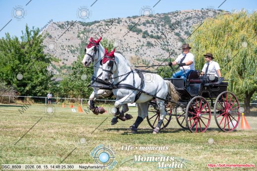 Mintakép 20260815-375