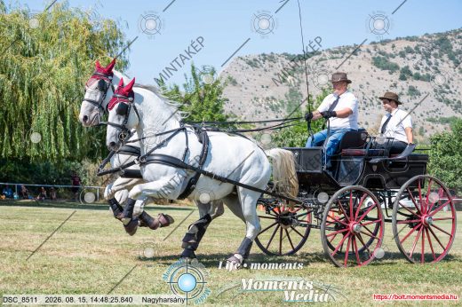 Mintakép 20260815-376
