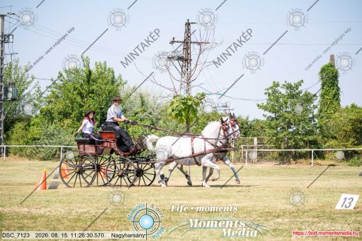 Mintakép 20260815-386