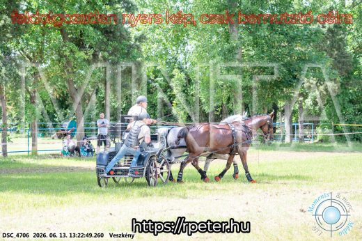 Mintakép 20260613-117