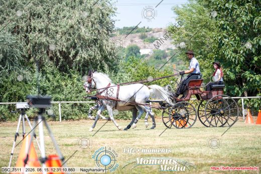 Mintakép 20260815-408