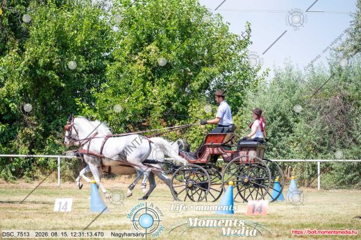 Mintakép 20260815-409