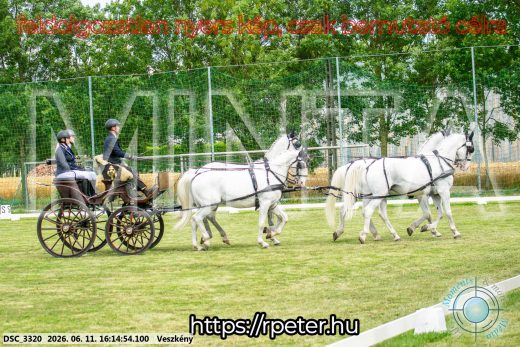Mintakép 20260611-38