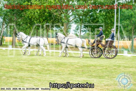 Mintakép 20260611-39