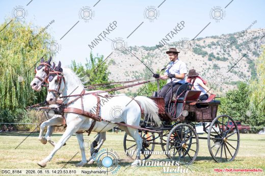 Mintakép 20260815-430